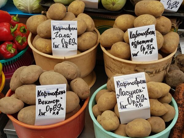 Дешевые ежевика и виноград: за чем еще идти на Комаровку в выходные - Sputnik Беларусь