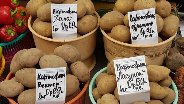 Картофеля в этом году, говорят, собрали очень много - Sputnik Беларусь
