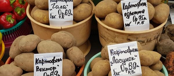 Картофеля в этом году, говорят, собрали очень много - Sputnik Беларусь