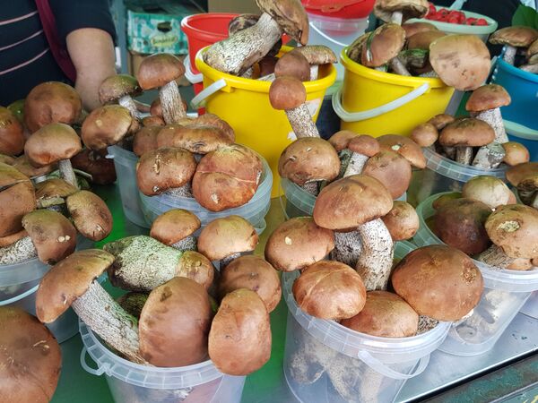 Дешевые ежевика и виноград: за чем еще идти на Комаровку в выходные - Sputnik Беларусь