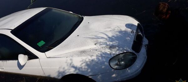 Упавшая в воду машина - Sputnik Беларусь