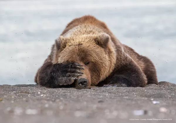Снимок Monday Morning Blues американского фотографа Eric Fisher - Sputnik Беларусь