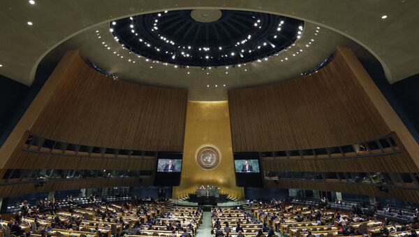 Сессия Генеральной Ассамблеи ООН - Sputnik Беларусь
