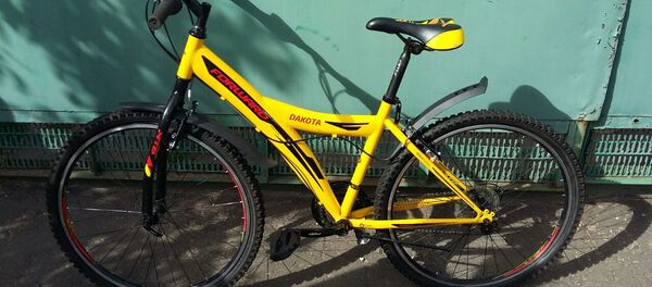 Один из украденных велосипедов - Sputnik Беларусь