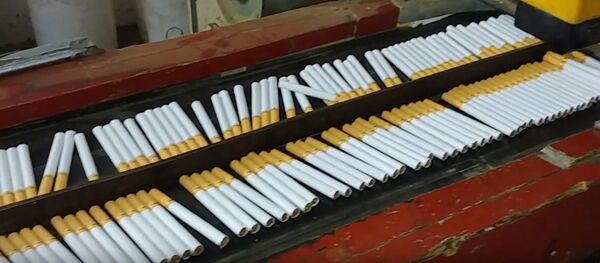 Трое белорусов открыли подпольный сигаретный цех в Польше - Sputnik Беларусь