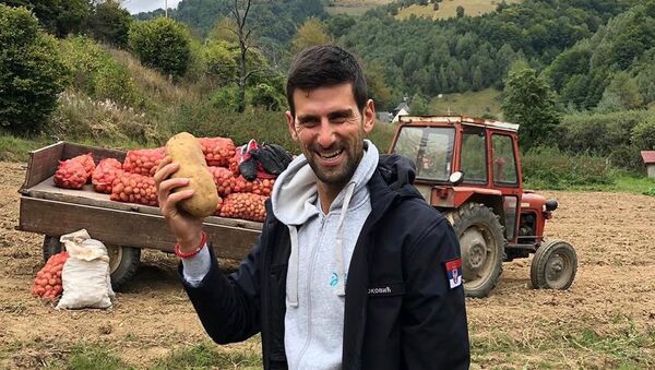 Новак Джокович помог выбрать картошку в деревне своего детства - Sputnik Беларусь