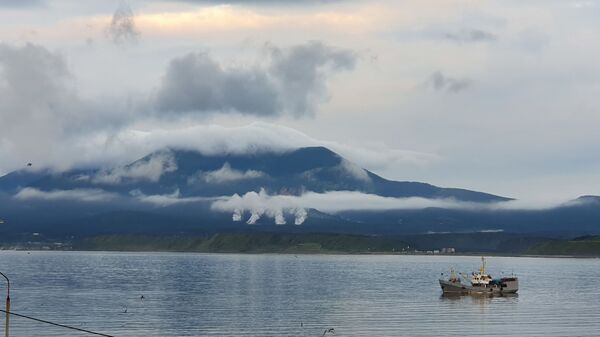 Остров Кунашир, Горячий пляж. У подножия вулкана Тятя клубятся испарения горячих вод речки Кислая.  - Sputnik Беларусь