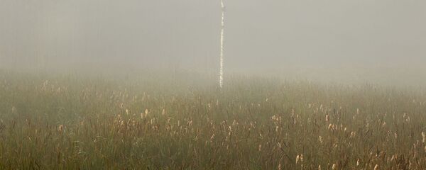 Туманное осеннее утро - Sputnik Беларусь