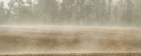 Які сёння дзень: 12 лістапада 2025 года Які сёння дзень: 12 лістапада 2025 года - Sputnik Беларусь