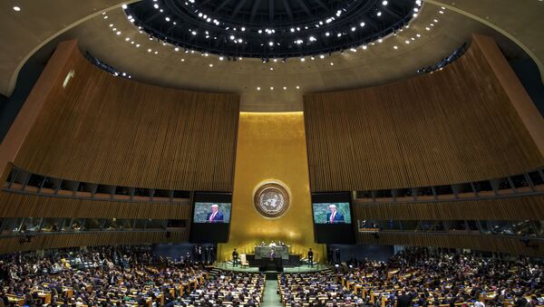 Генеральная ассамблея ООН в Нью-Йорке - Sputnik Беларусь