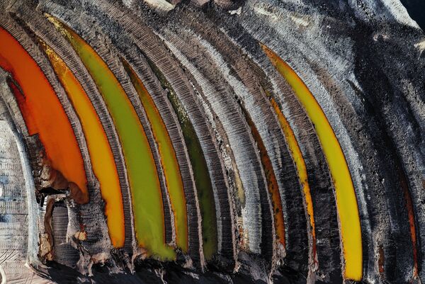 Снимок Remains of the Forest фотографа J Henry Fair, получивший приз 2019 Climate Action and Energy Prize в рамках конкурса The Environmental Photographer of the Year 2019 - Sputnik Беларусь