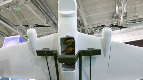 Беспилотный авиационный комплекс Бусел МБ2 - Sputnik Беларусь