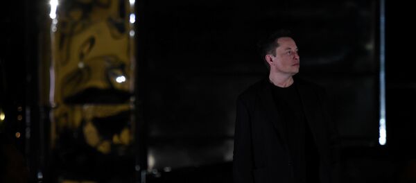 Глава компании SpaceX Илон Маск - Sputnik Беларусь