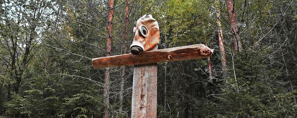 НЗ з рэактарам і экспедыцыя на Кубу: гісторыя ракетнай базы пад Смаргонню - Sputnik Беларусь