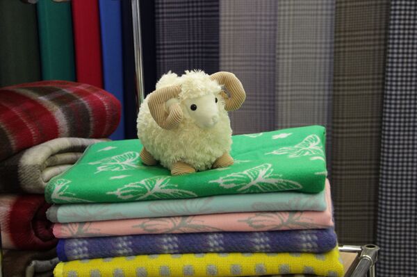 Как Беллегпрому конкурировать с Zara и понравиться китайцам - Sputnik Беларусь