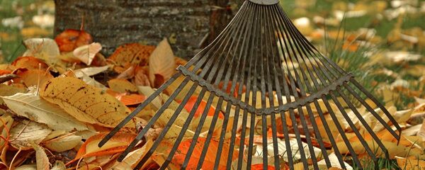 Осенью в саду немало работ - Sputnik Беларусь