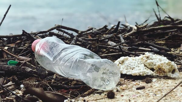 Пластиковая бутылка на берегу океана - Sputnik Беларусь