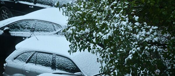 Фотафакт: у Мінску выпаў першы снег Фотафакт: у Мінску выпаў першы снег - Sputnik Беларусь