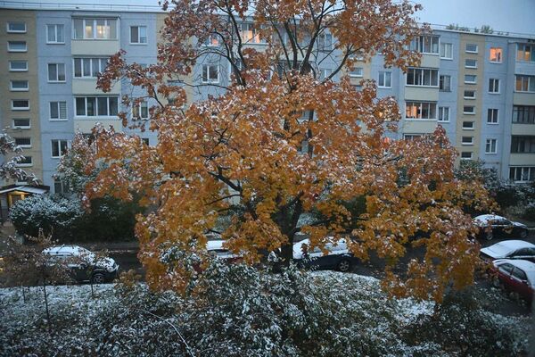 Фотафакт: у Мінску выпаў першы снег - Sputnik Беларусь