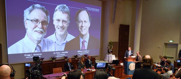 Нобелевская премия 2019 года досталась трем исследователям: Уильяму Дж. Кейлину-младшему, Питеру Дж. Рэтклиффу и Греггу Л. Семенце Нобелевская премия 2019 года досталась трем исследователям: Уильяму Дж. Кейлину-младшему, Питеру Дж. Рэтклиффу и Греггу Л. Семенце - Sputnik Беларусь