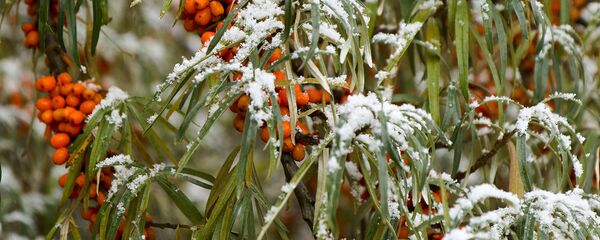 Які сёння дзень: 21 лістапада 2025 года - Sputnik Беларусь