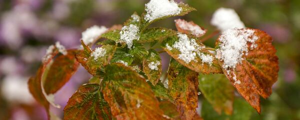 Первый снег в октябре - Sputnik Беларусь