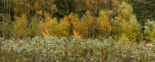 Калі ў Беларусі пацяплее? Дакладны прагноз на выхадныя і пачатак тыдня - Sputnik Беларусь
