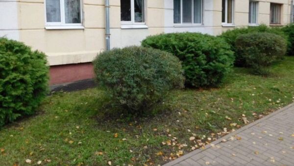 Двухлетний ребенок выпал с пятого этажа в Бобруйске - Sputnik Беларусь