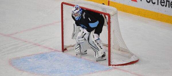 Шведский голкипер минского хоккейного клуба Динамо Юнас Энрот  - Sputnik Беларусь