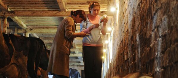 Работа врачей ветеринарной лечебницы, архивное фото Работа врачей ветеринарной лечебницы, архивное фото - Sputnik Беларусь