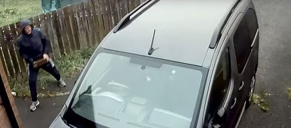 Неудачливому угонщику прилетел кирпич в голову - Sputnik Беларусь