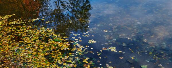 Калі чакаць пахаладання ў Беларусі? Дакладны прагноз надвор'я на тыдзень Калі чакаць пахаладання ў Беларусі? Дакладны прагноз надвор'я на тыдзень - Sputnik Беларусь