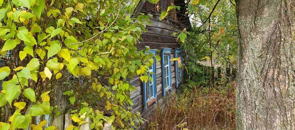 Дом был достаточно ветхим еще когда в нем жила семья. А за те годы, что пустует, совсем ушел в землю - Sputnik Беларусь