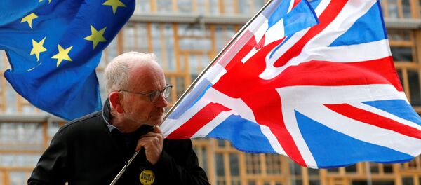 Протестующий против Brexit протестует возле штаб-квартиры Комиссии ЕС в Брюсселе - Sputnik Беларусь