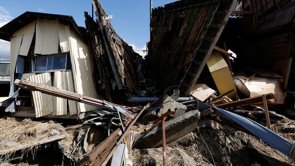 Последствия тайфуна Хагибис в Японии  - Sputnik Беларусь