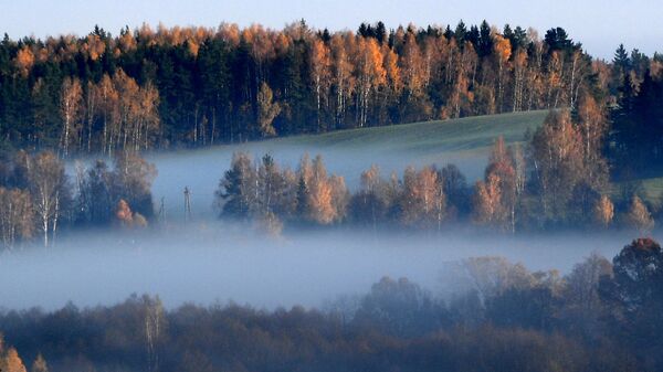 Восеньскі туман, архіўнае фота - Sputnik Беларусь