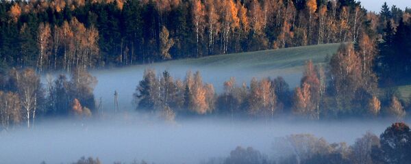Якое надвор'е будзе зімой? Народныя прыкметы восені Якое надвор'е будзе зімой? Народныя прыкметы восені - Sputnik Беларусь