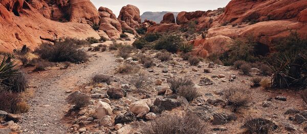 Ред Рок Каньон на юге штата Невада (США) - Sputnik Беларусь