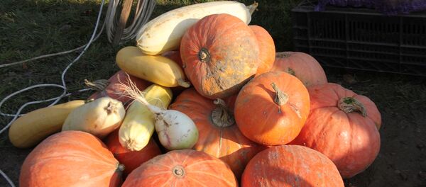 Гарбузы - Sputnik Беларусь