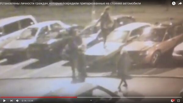 Молодые люди в хорошем настроении гуляли по машине в Каменной горке - видео - Sputnik Беларусь