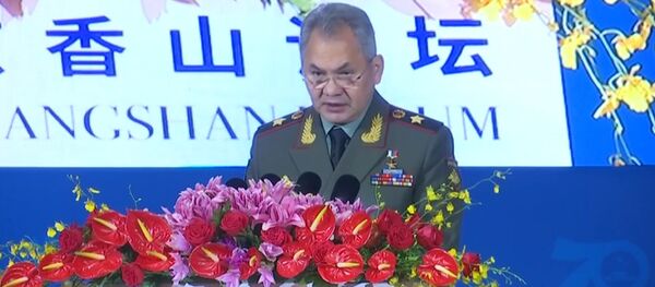 Шойгу ДРСМД - Sputnik Беларусь