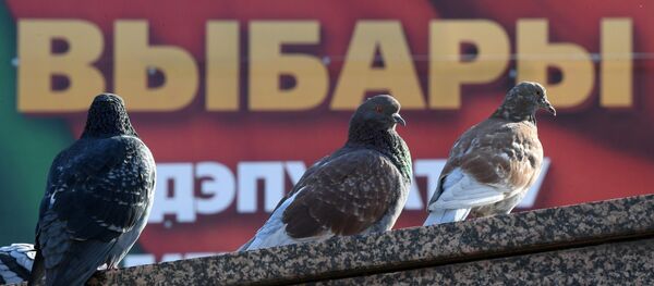 Парламенцкія выбары пройдуць сёння ў Беларусі - Sputnik Беларусь