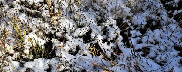 Первый снег, архивное фото - Sputnik Беларусь