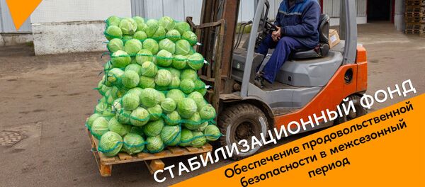 Стабилизационный фонд - Sputnik Беларусь