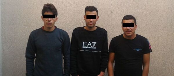 Алжирские каратисты, нарушившие границу - Sputnik Беларусь