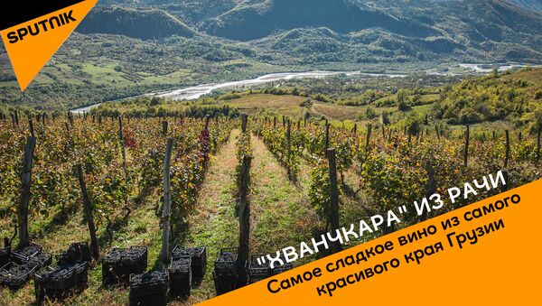 Хванчкара из Рачи: Самое сладкое вино из самого красивого края Грузии - Sputnik Беларусь