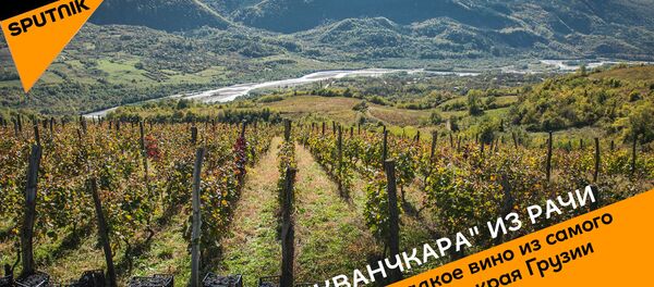 Хванчкара из Рачи: Самое сладкое вино из самого красивого края Грузии - Sputnik Беларусь