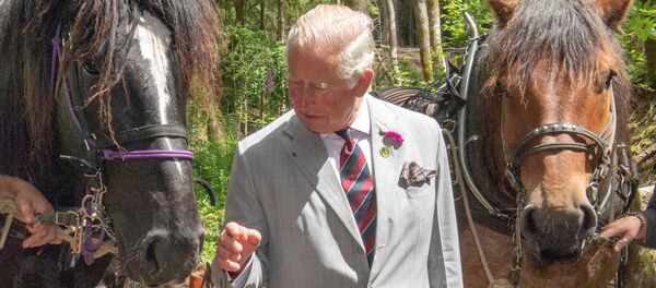 Принц Чарльз - Sputnik Беларусь