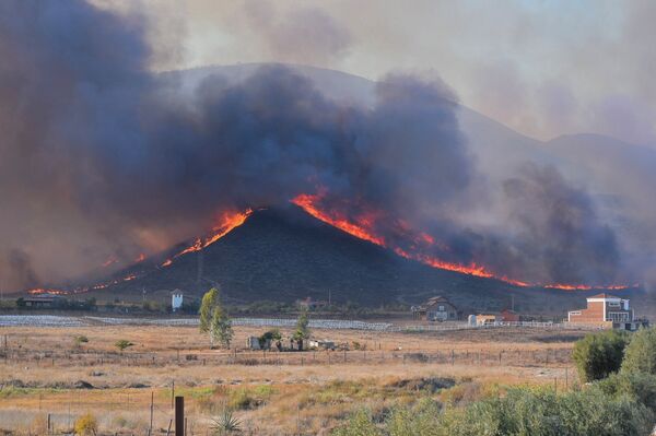 В Калифорнии эвакуируют 180 тысяч человек из-за пожаров - Sputnik Беларусь