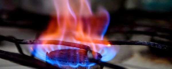 Конфорка газовой плиты в жилом доме - Sputnik Беларусь